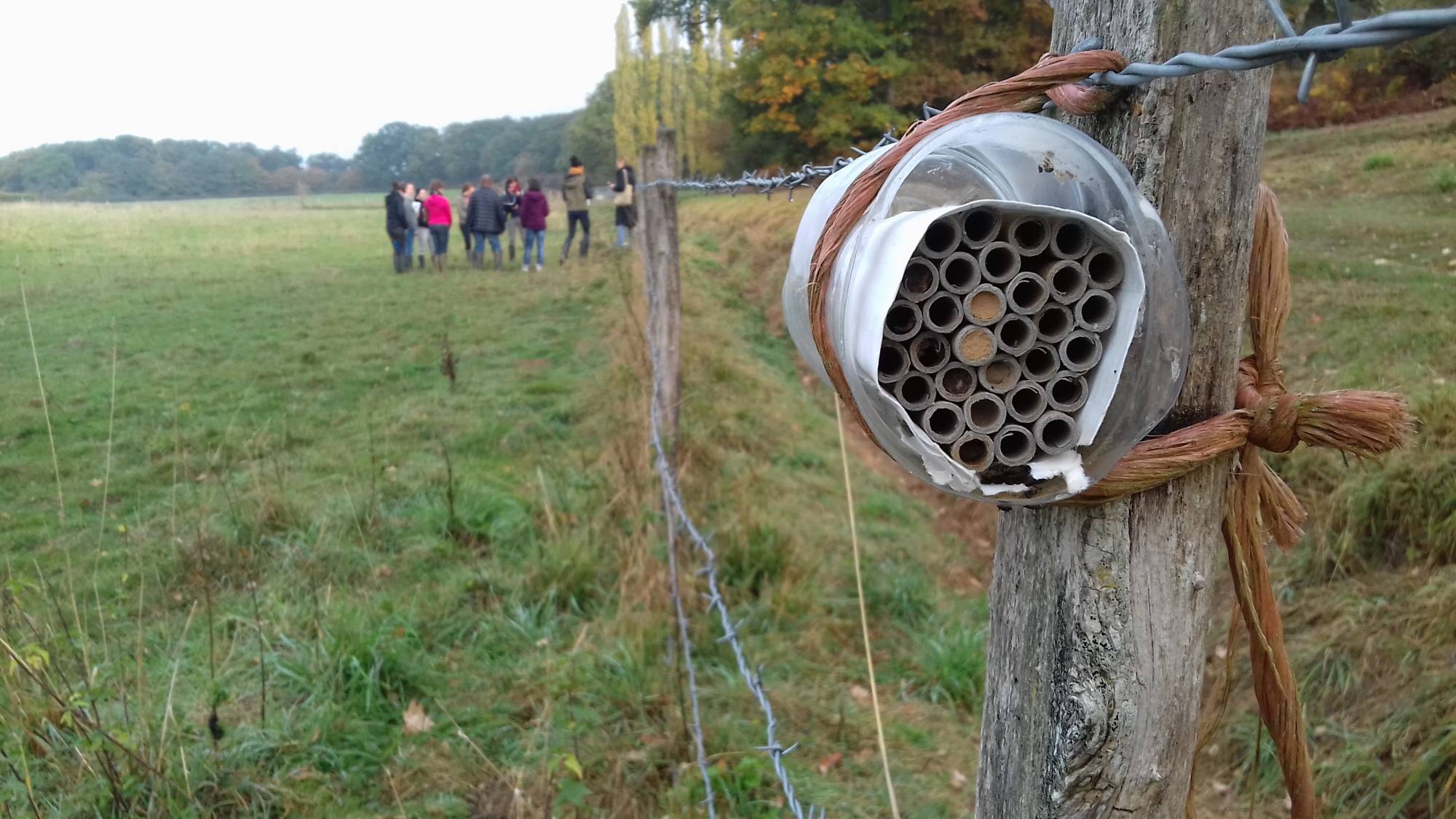In the foreground, a nesting box for wild bees, which allows to follow the reproduction of these bees by counting the number of occupied tubes (=clogged, here by earth).
